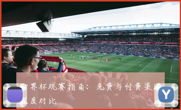 世界杯观赛指南：免费与付费渠道深度对比